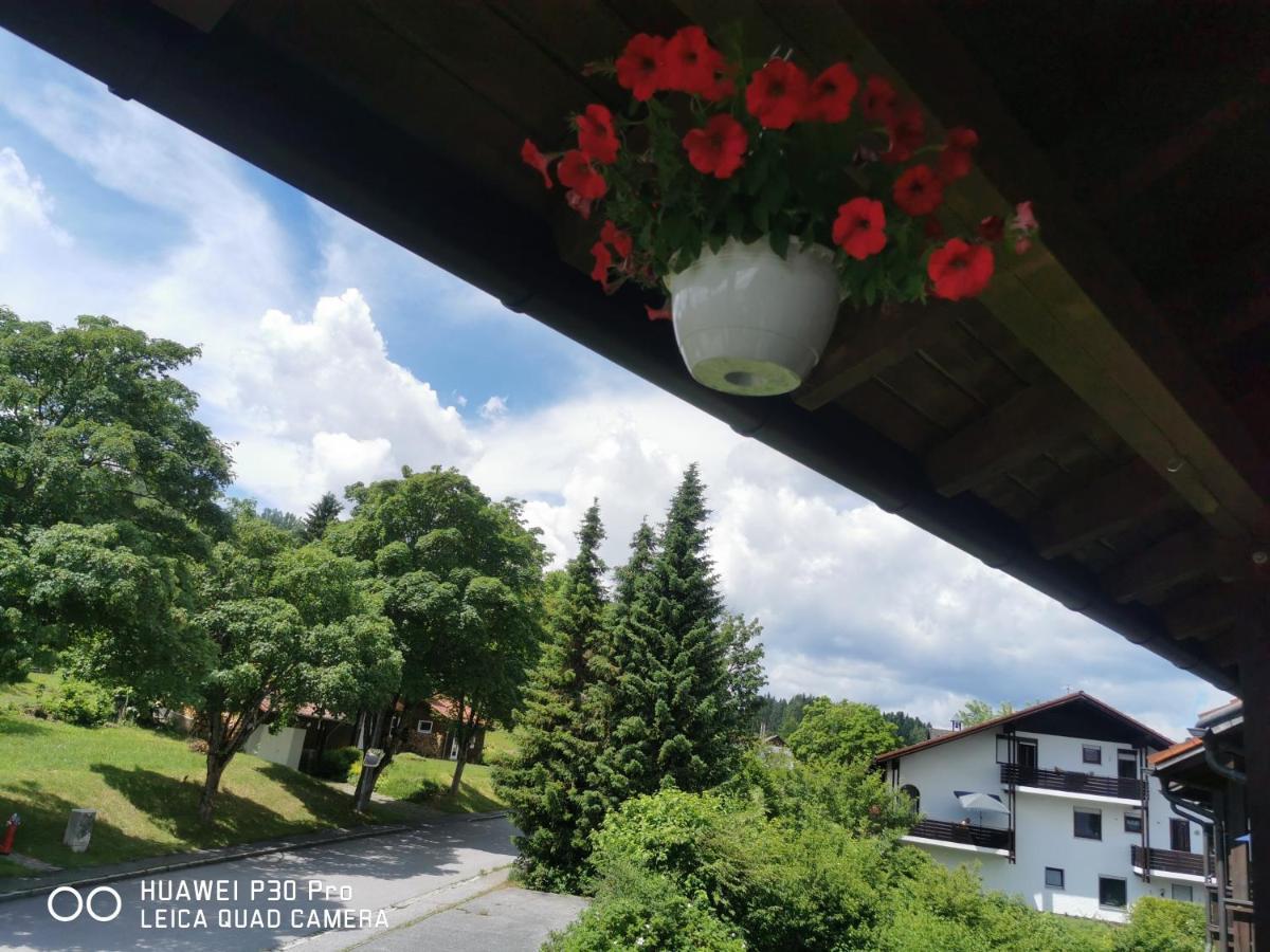 Aparthotel Chrysantihof - Bayerische Wald-Weber Zwiesel Zewnętrze zdjęcie